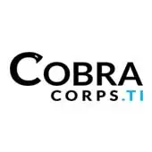 Logotipo da empresa COBRA INFORMATICA