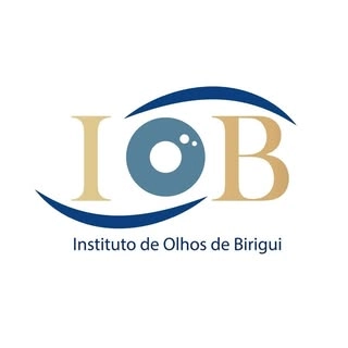 Logotipo da empresa INSTITUTO DE OLHOS BORGES LTDA