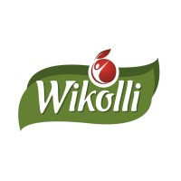 Logotipo da empresa WIKOLLI