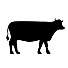 Logotipo da empresa PARAISO GRILL