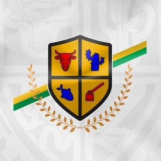 Logotipo da empresa F.M.S/PMCSF