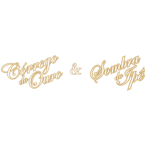 Logotipo da empresa OTONI & MIRANDA LTDA