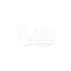 Logotipo da empresa LABBTECH