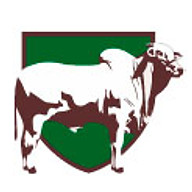 Logotipo da empresa AGV PRODUTOS VETERINARIOS LTDA