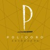 Logotipo da empresa POLIDORO