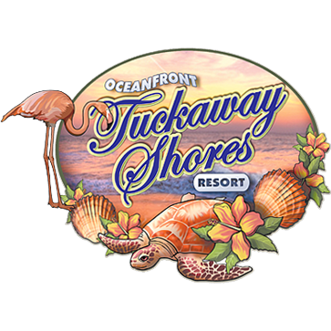 Logotipo da empresa COMPANHIA DA MIDIA