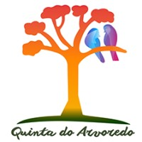 Logotipo da empresa BF7