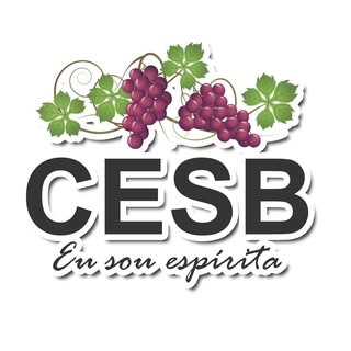 Logotipo da empresa CASA ESPIRITA SEAREIROS DO BEM - CESB