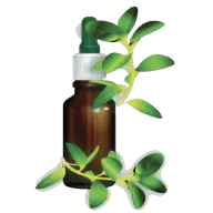 Logotipo da empresa PRODUTOS NATURAIS KAYNE