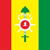 Logotipo da empresa FMS - AMAPA