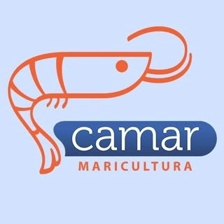 Logotipo da empresa CAMAR MARINE