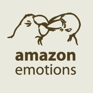 Logotipo da empresa AMAZON EMOTIONS