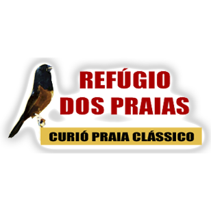 Logotipo da empresa TRANSPORTADORA RODOROF LTDA