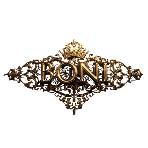 Logotipo da empresa BONI IMPORTS