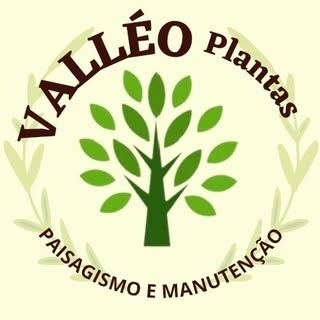 Logotipo da empresa VALLEO PLANTAS