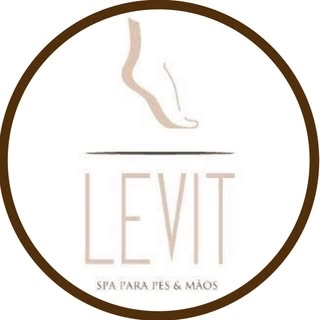 Logotipo da empresa LEVIT SPA