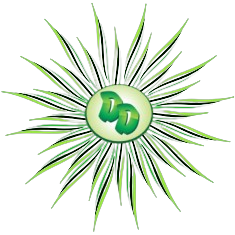 Logotipo da empresa DISTRIBUIDORA E ATACADO DALPOSSO
