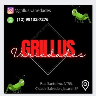 Logotipo da empresa ELISABETE VIEIRA DA SILVA SANTOS