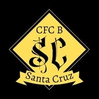 Logotipo da empresa AUTO ESCOLA SANTA CRUZ