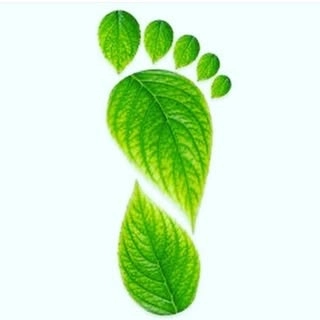 Logotipo da empresa GREEN FEET