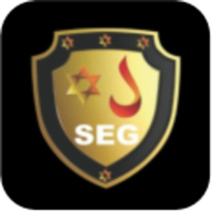 Logotipo da empresa FALCONSEG PRESTADORA DE SERVILOS LTDA EPP