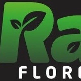 Logotipo da empresa RAIZ SERVICOS LTDA.