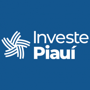 Logotipo da empresa ZPE PIAUI