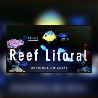 Logotipo da empresa REEF - LITORAL