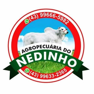 Logotipo da empresa AGROPECUARIA DO NEDINHO