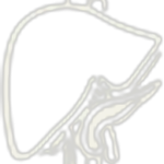 Logotipo da empresa ENDOSURG