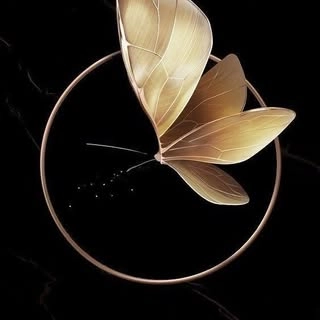 Logotipo da empresa TRANSFORME SALAO DE BELEZA