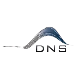 Logotipo da empresa DNS - DESIGN AND NUMERICAL SIMULATIONS