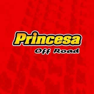 Logotipo da empresa PRINCESA RACING PECAS LTDA