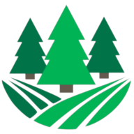 Logotipo da empresa BUSSOLA DIGITAL