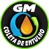 Logotipo da empresa G T PETROLEO