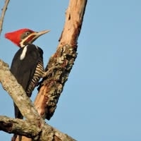 Logotipo da empresa HOTSPOT