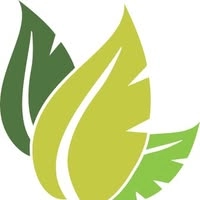 Logotipo da empresa D AMICO SOLUCOES AMBIENTAIS