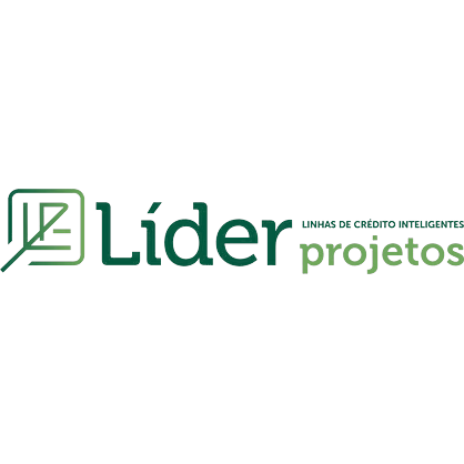 Logotipo da empresa LIDER PROJETOS TECNICOS LTDA.