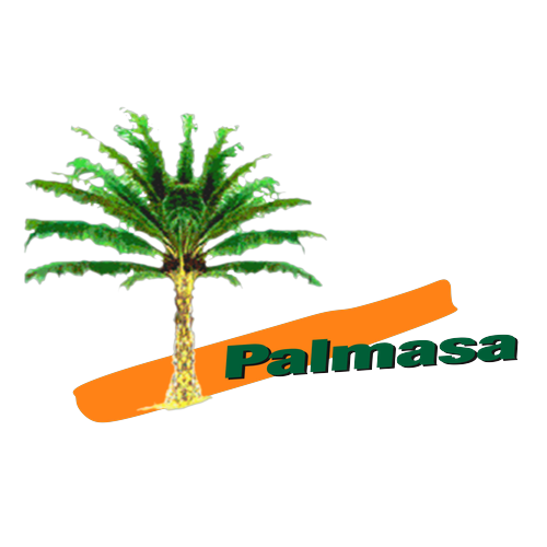Logotipo da empresa PALMASA