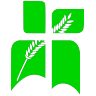 Logotipo da empresa SISTEMA COMUNHAO DE COMUNICACAO LTDA