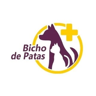 Logotipo da empresa BICHO DE PATAS