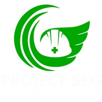 Logotipo da empresa PROJECT