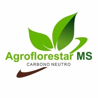 Logotipo da empresa INSTITUTO CERRADO GUARANI