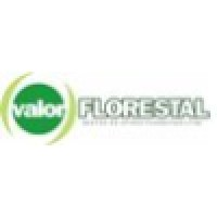 Logotipo da empresa VALOR FLORESTAL CONSULTORIA LTDA