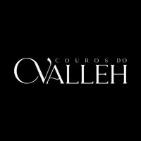 Logotipo da empresa VALLE PRODUCOES E EVENTOS LTDA