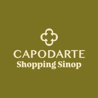Logotipo da empresa CAPODARTE