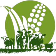 Logotipo da empresa PANORAMA PN7