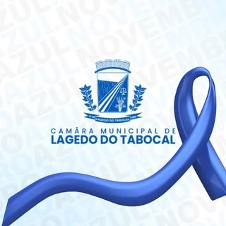 Logotipo da empresa CAMARA DE VERIADORES