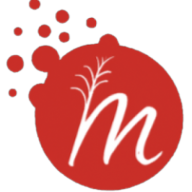 Logotipo da empresa ADIEL AUGUSTO VIEIRA