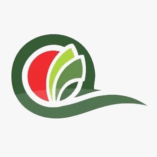 Logotipo da empresa QUALYAGRICOLA